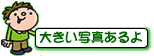 大きい写真あるよ
